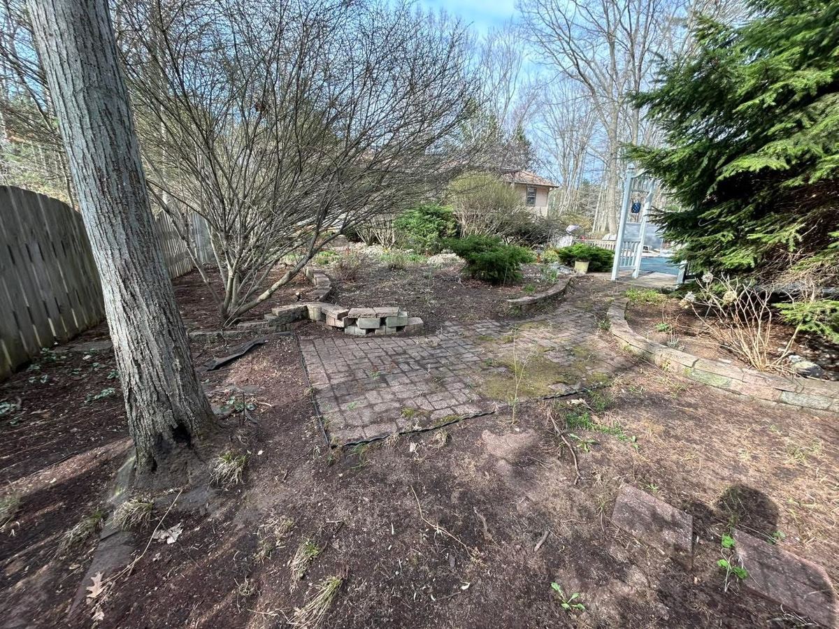 After — garden bed cleared of leaves and winter debris