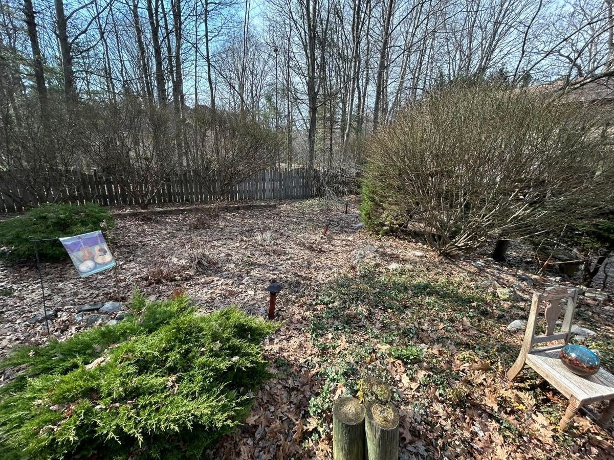 Before — garden beds and shrubs full of winter debris