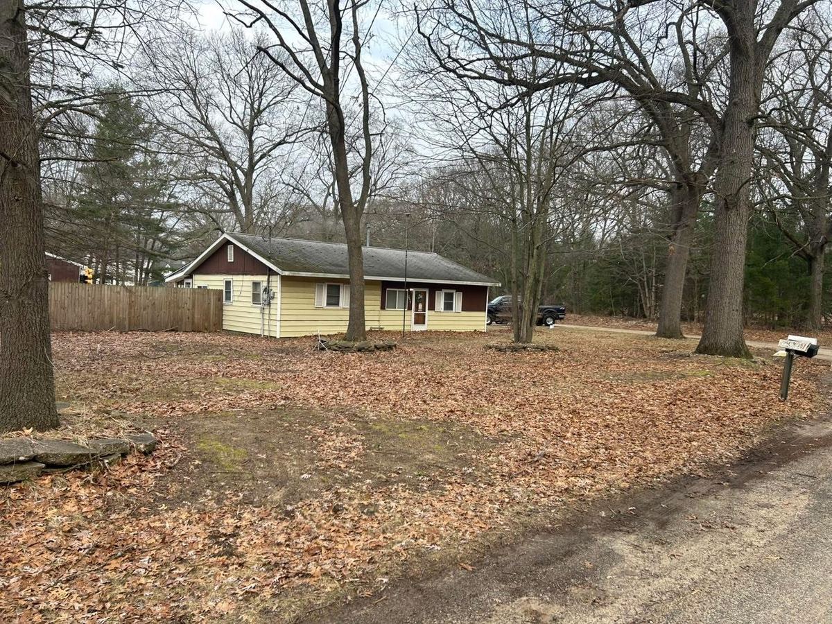 Before — front yard covered in leaves
