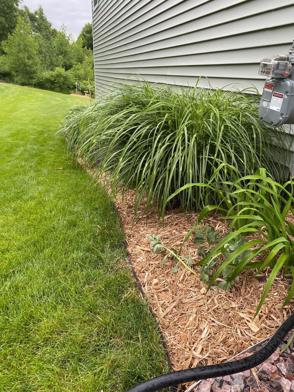 After — foundation bed with fresh mulch and clean edge