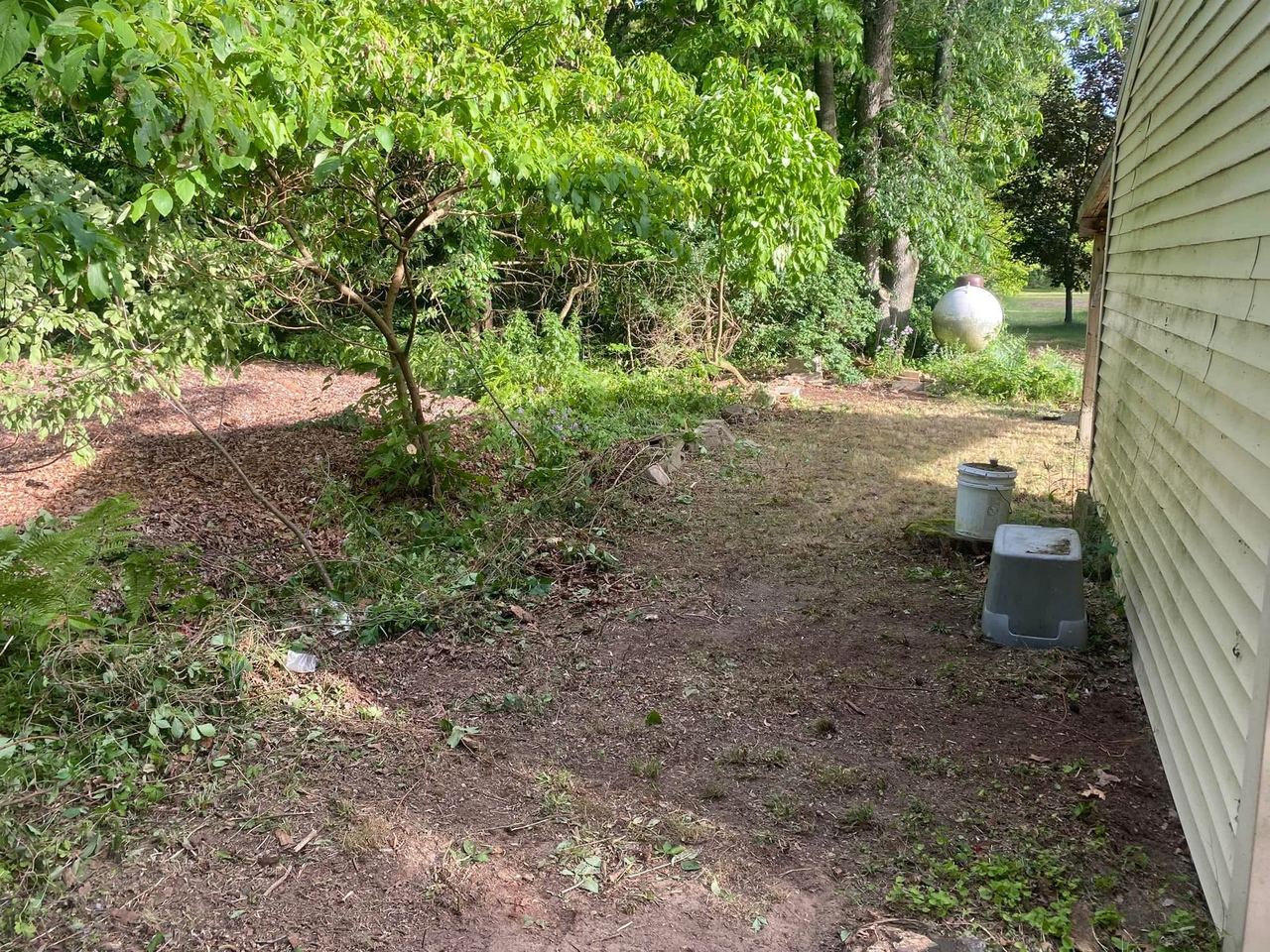 After — overgrown side yard cleared to bare, tidy soil